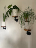 Shipping Included, Plant Stand, Hexagon Shelf, Plant Shelf, Farmhouse, Rustic Plant Stand