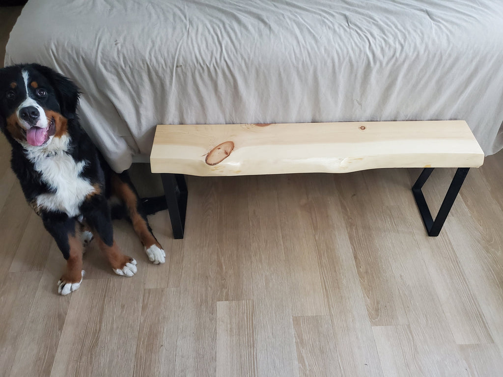 Shipping Included, Live Edge 4 Foot Pine Bench, Indoor/Outdoor Bench, Patio Furniture, Thick Slab