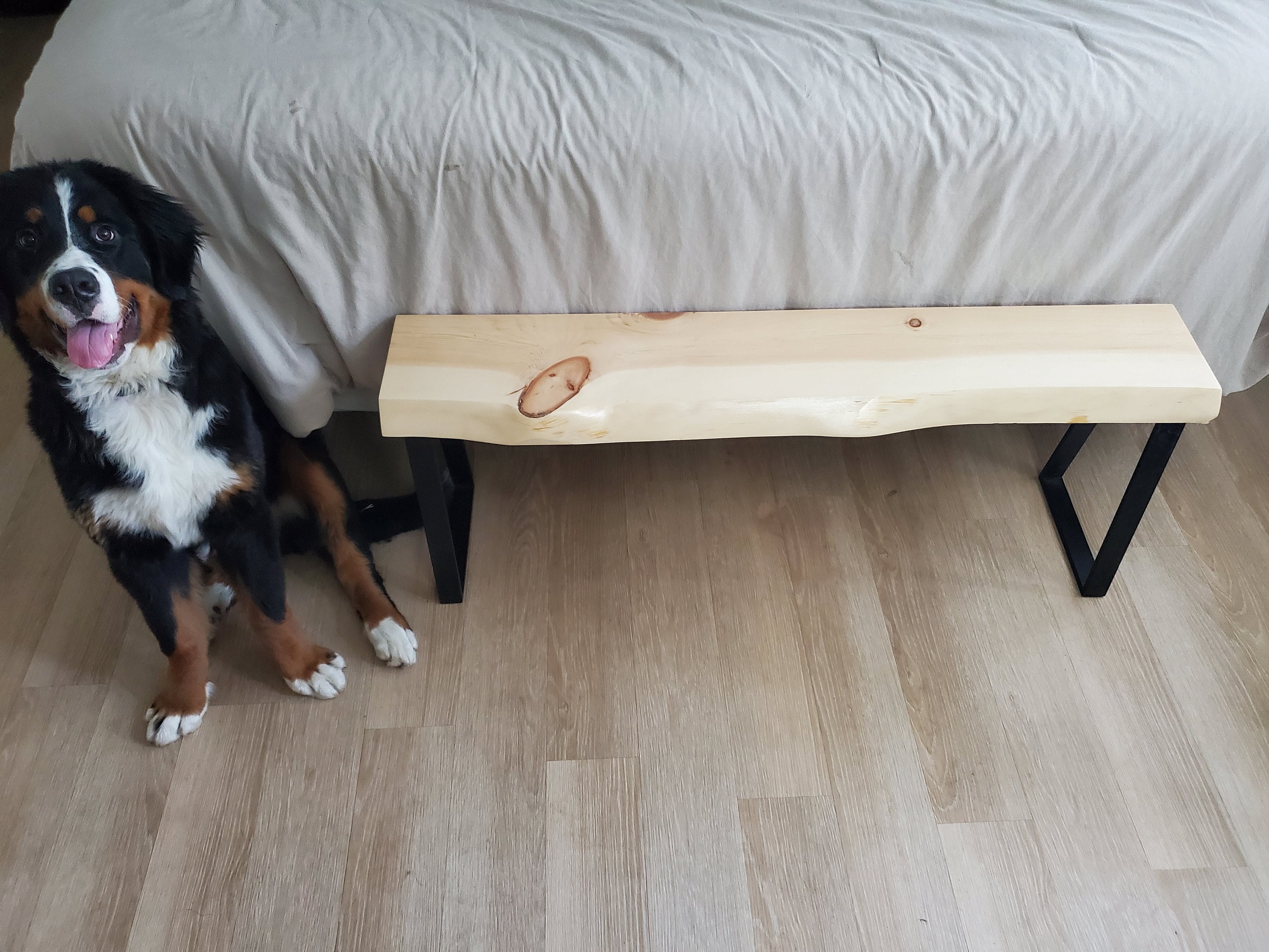 Shipping Included, Live Edge 4 Foot Pine Bench, Indoor/Outdoor Bench, Patio Furniture, Thick Slab