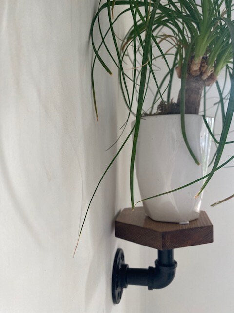 Shipping Included, Plant Stand, Hexagon Shelf, Plant Shelf, Farmhouse, Rustic Plant Stand