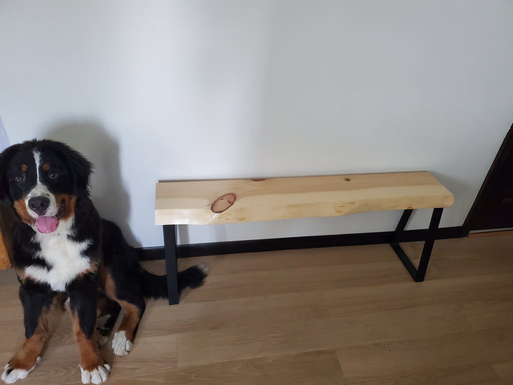 Shipping Included, Live Edge 4 Foot Pine Bench, Indoor/Outdoor Bench, Patio Furniture, Thick Slab