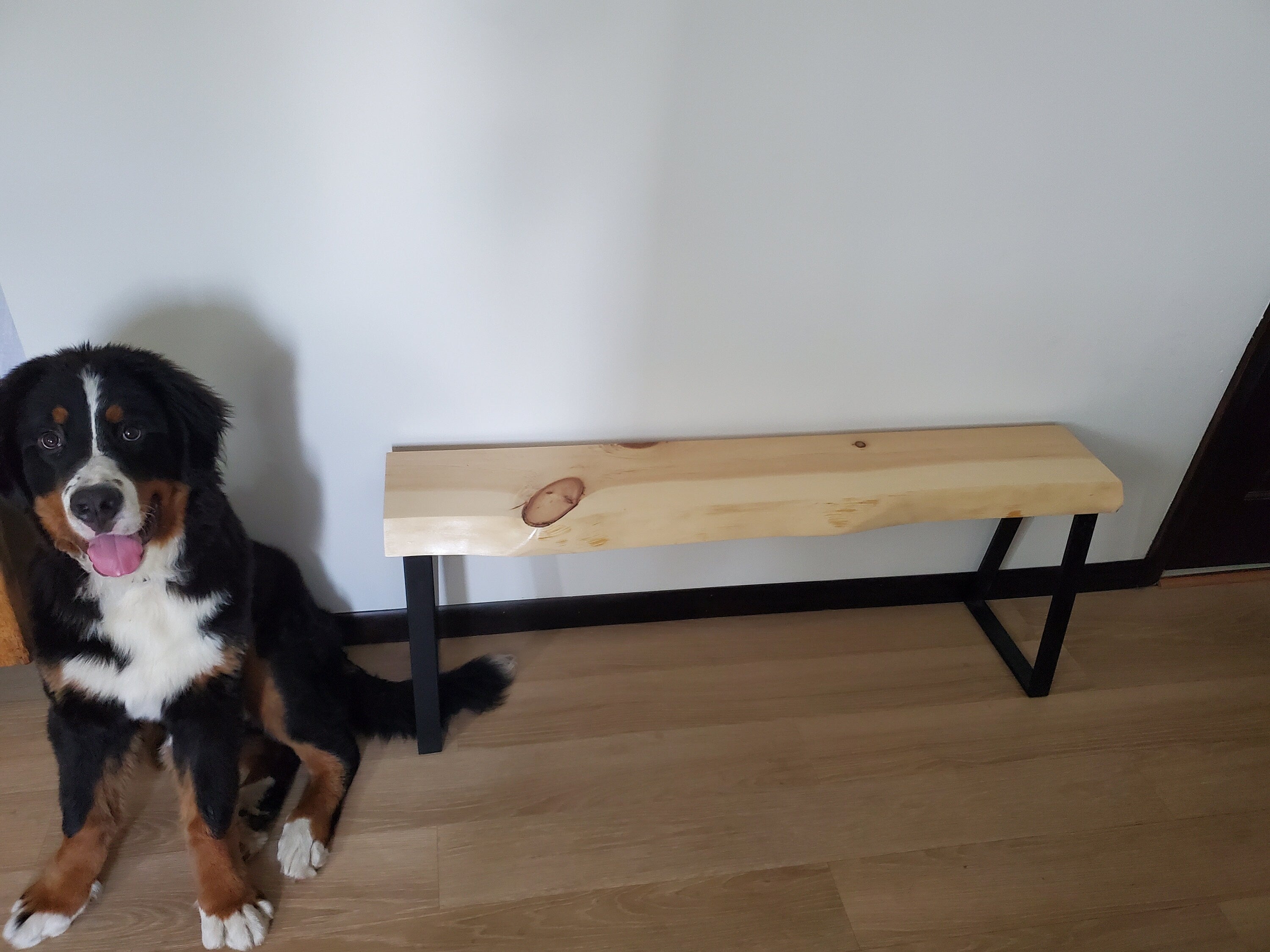 Shipping Included, Live Edge 4 Foot Pine Bench, Indoor/Outdoor Bench, Patio Furniture, Thick Slab