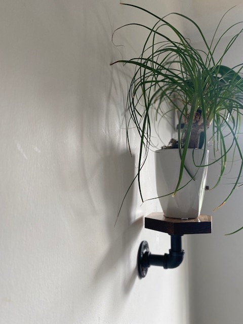 Shipping Included, Plant Stand, Hexagon Shelf, Plant Shelf, Farmhouse, Rustic Plant Stand