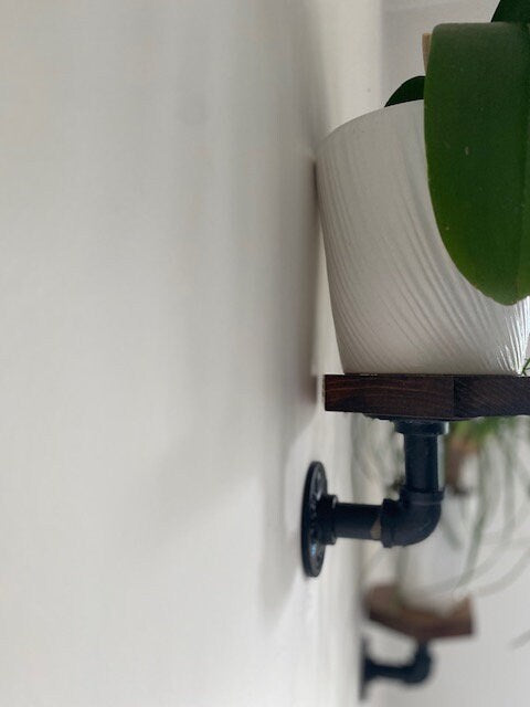Shipping Included, Plant Stand, Hexagon Shelf, Plant Shelf, Farmhouse, Rustic Plant Stand
